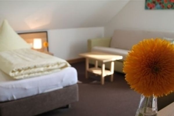 Hotel Häußler Gasthof (Reichertshofen)